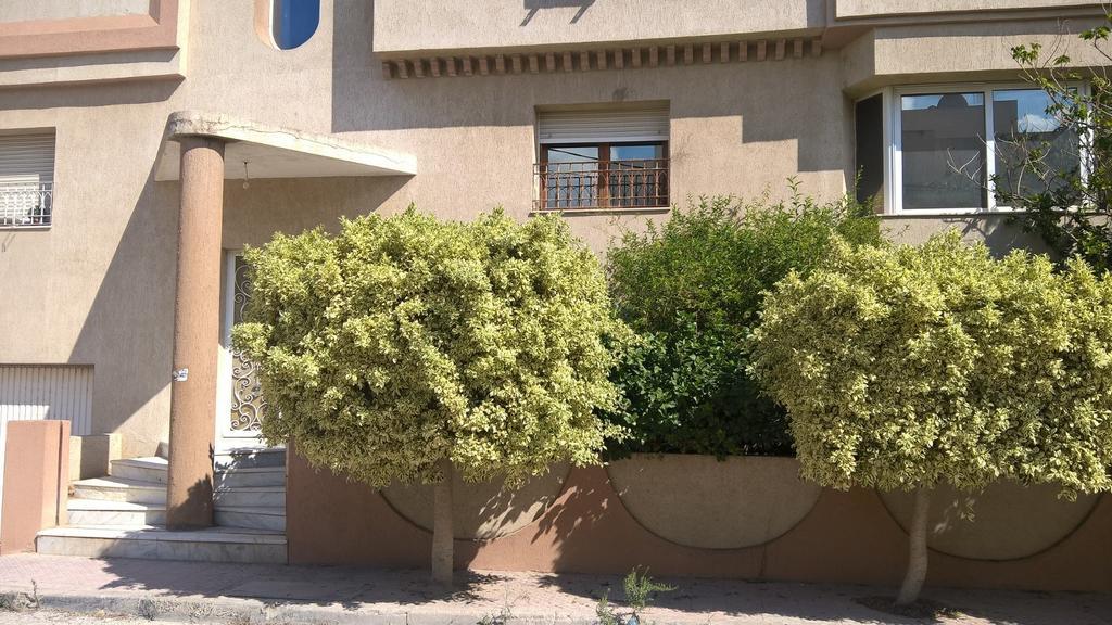 Apartament Dar Aloulou Tunis Zewnętrze zdjęcie